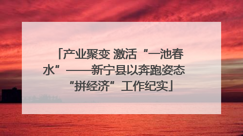 产业聚变 激活“一池春水”——新宁县以奔跑姿态“拼经济”工作纪实