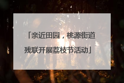 亲近田园，桃源街道残联开展荔枝节活动