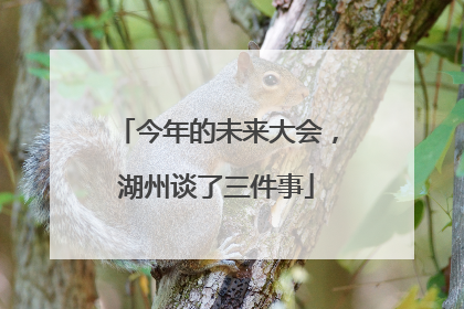 今年的未来大会，湖州谈了三件事