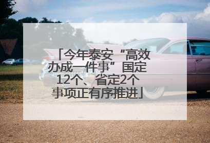 今年泰安“高效办成一件事”国定12个、省定2个事项正有序推进