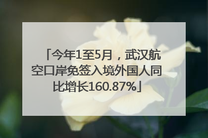 今年1至5月，武汉航空口岸免签入境外国人同比增长160.87%