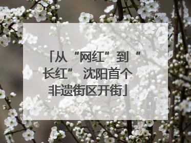 从“网红”到“长红” 沈阳首个非遗街区开街