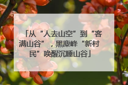 从“人去山空”到“客满山谷”，黑麋峰“新村民”唤醒沉睡山谷