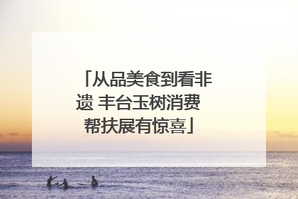 从品美食到看非遗 丰台玉树消费帮扶展有惊喜