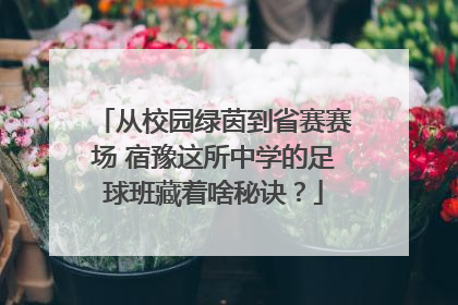 从校园绿茵到省赛赛场 宿豫这所中学的足球班藏着啥秘诀？