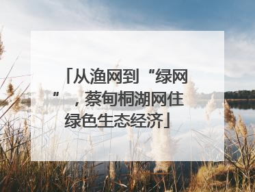从渔网到“绿网”，蔡甸桐湖网住绿色生态经济