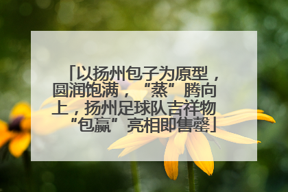 以扬州包子为原型，圆润饱满，“蒸”腾向上，扬州足球队吉祥物“包赢”亮相即售罄