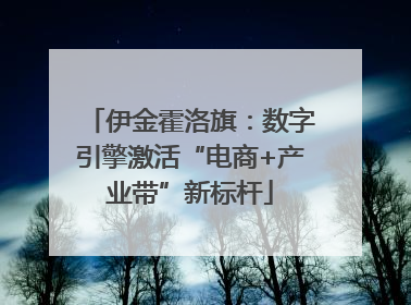 伊金霍洛旗：数字引擎激活“电商+产业带”新标杆