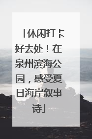 休闲打卡好去处！在泉州滨海公园，感受夏日海岸叙事诗