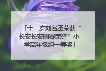 十二岁刘名丞荣获“长安长安国赛荣誉”小学高年级组一等奖