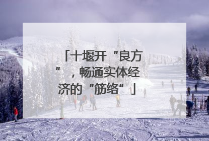 十堰开“良方”，畅通实体经济的“筋络”