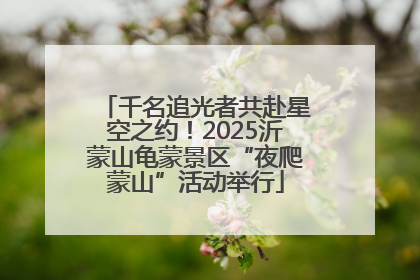千名追光者共赴星空之约！2025沂蒙山龟蒙景区“夜爬蒙山”活动举行