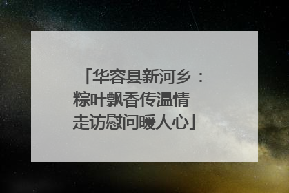 华容县新河乡：粽叶飘香传温情 走访慰问暖人心