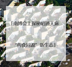 南博会上探秘昭通天麻“药食同源”新生态