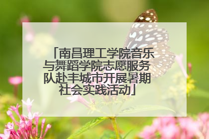 南昌理工学院音乐与舞蹈学院志愿服务队赴丰城市开展暑期社会实践活动