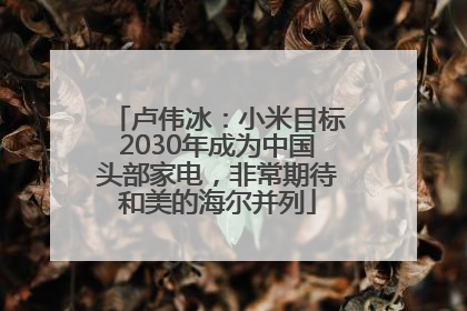 卢伟冰：小米目标2030年成为中国头部家电，非常期待和美的海尔并列