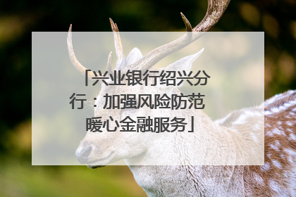 兴业银行绍兴分行：加强风险防范 暖心金融服务