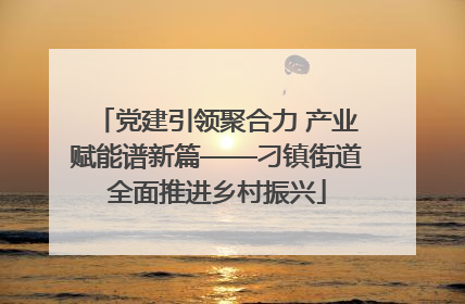 党建引领聚合力 产业赋能谱新篇——刁镇街道全面推进乡村振兴