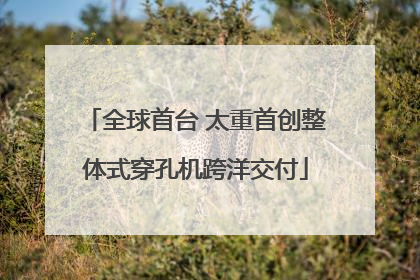 全球首台 太重首创整体式穿孔机跨洋交付