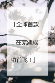 全球首款，在芜湖成功首飞！