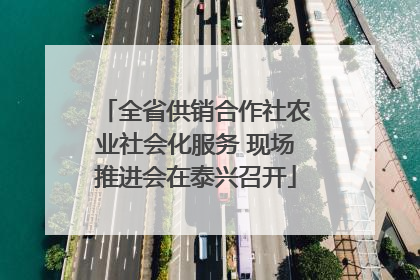 全省供销合作社农业社会化服务 现场推进会在泰兴召开