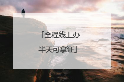 全程线上办 半天可拿证