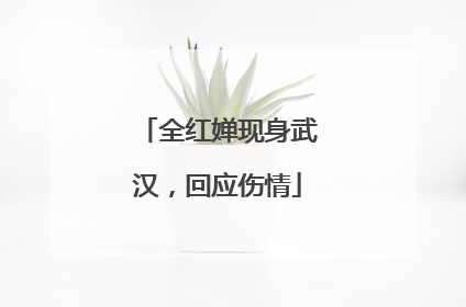 全红婵现身武汉，回应伤情