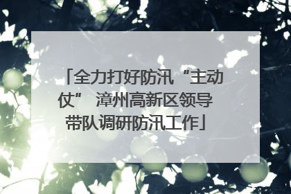 全力打好防汛“主动仗” 漳州高新区领导带队调研防汛工作