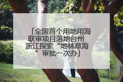全国首个用地用海联审项目落地台州 浙江探索“地林草海”审批一次办