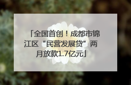 全国首创！成都市锦江区“民营发展贷”两月放款1.7亿元