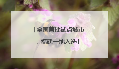 全国首批试点城市，福建一地入选