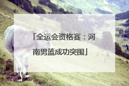 全运会资格赛：河南男篮成功突围