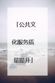 公共文化服务质量提升