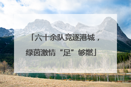六十余队竞逐港城，绿茵激情“足”够燃