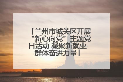 兰州市城关区开展“新心向党”主题党日活动 凝聚新就业群体奋进力量
