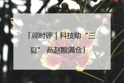 冀时评｜科技助“三夏” 燕赵粮满仓