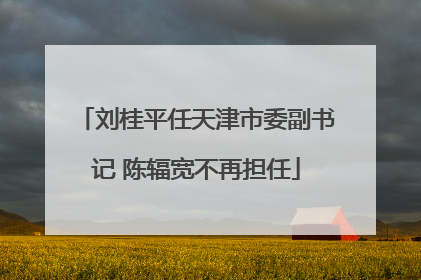 刘桂平任天津市委副书记 陈辐宽不再担任