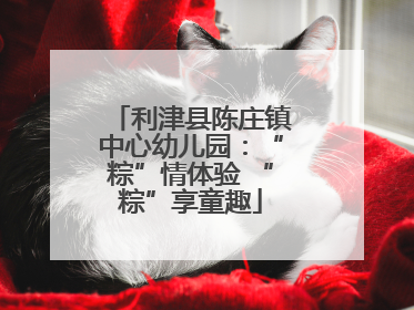 利津县陈庄镇中心幼儿园：“粽”情体验 “粽”享童趣