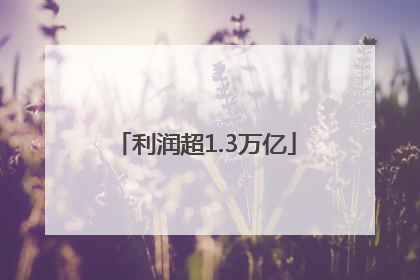 利润超1.3万亿