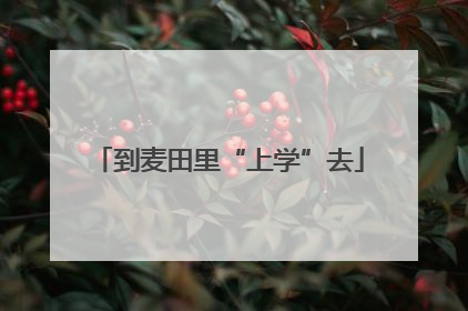 到麦田里“上学”去