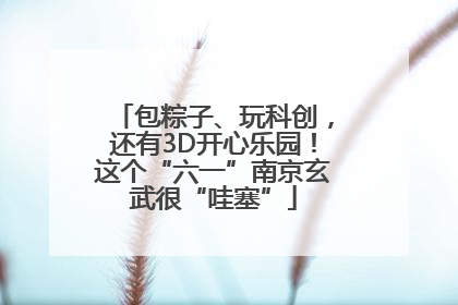 包粽子、玩科创，还有3D开心乐园！这个“六一”南京玄武很“哇塞”
