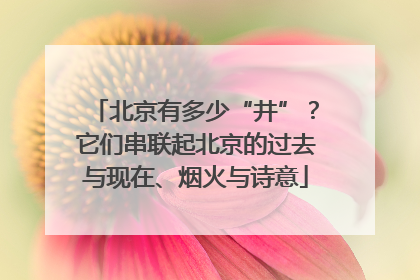 北京有多少“井”？它们串联起北京的过去与现在、烟火与诗意