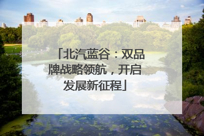 北汽蓝谷：双品牌战略领航，开启发展新征程