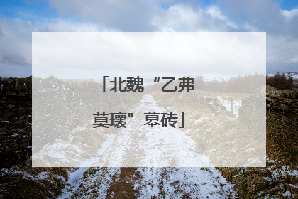 北魏“乙弗莫瓌”墓砖