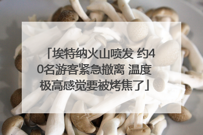 埃特纳火山喷发 约40名游客紧急撤离 温度极高感觉要被烤焦了