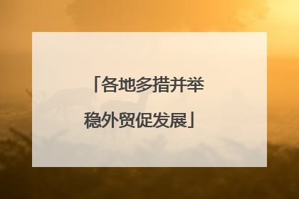 各地多措并举稳外贸促发展