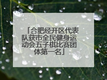 合肥经开区代表队获市全民健身运动会五子棋比赛团体第一名
