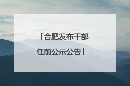 合肥发布干部任前公示公告