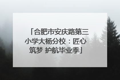合肥市安庆路第三小学大杨分校：匠心筑梦 护航毕业季