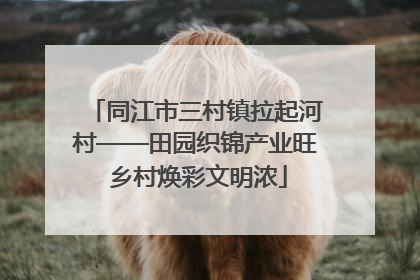 同江市三村镇拉起河村——田园织锦产业旺 乡村焕彩文明浓